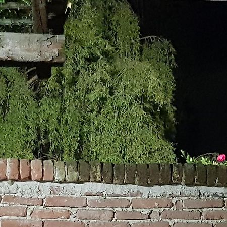 Az.Agr.Cascina Moretta Momo ภายนอก รูปภาพ