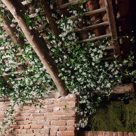 Az.Agr.Cascina Moretta Momo ภายนอก รูปภาพ