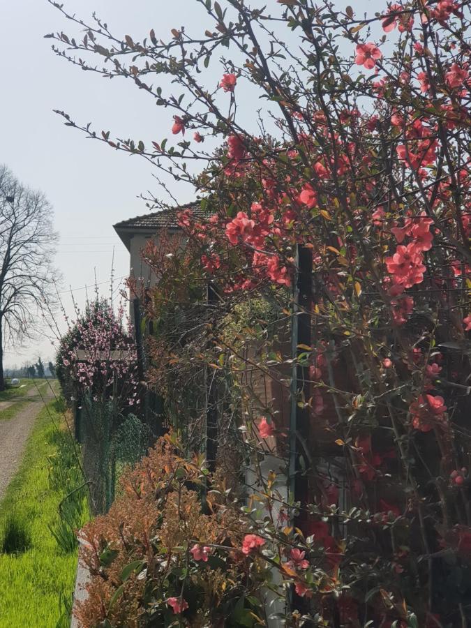 Az.Agr.Cascina Moretta Momo ภายนอก รูปภาพ