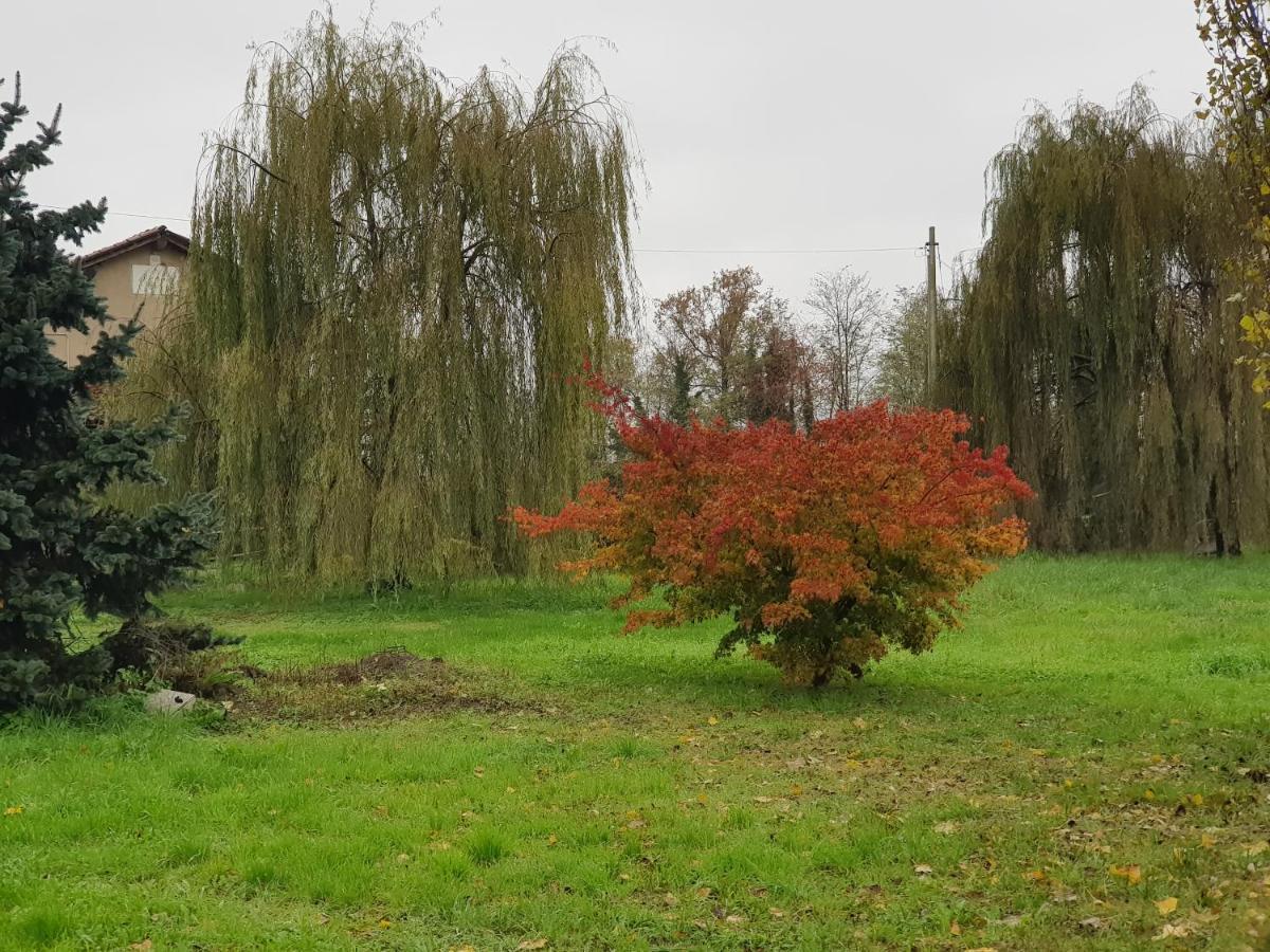 Az.Agr.Cascina Moretta Momo ภายนอก รูปภาพ