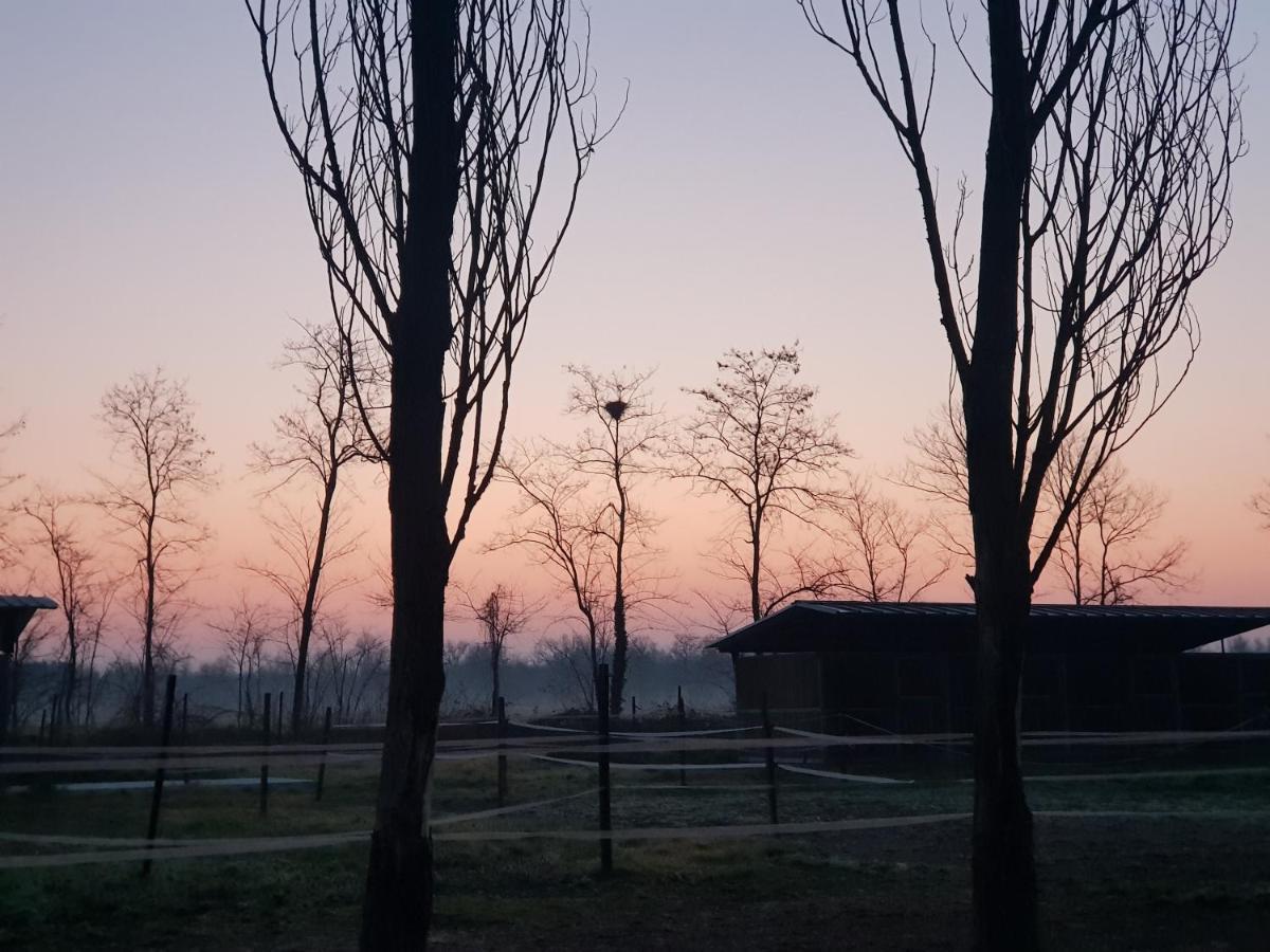 Az.Agr.Cascina Moretta Momo ภายนอก รูปภาพ