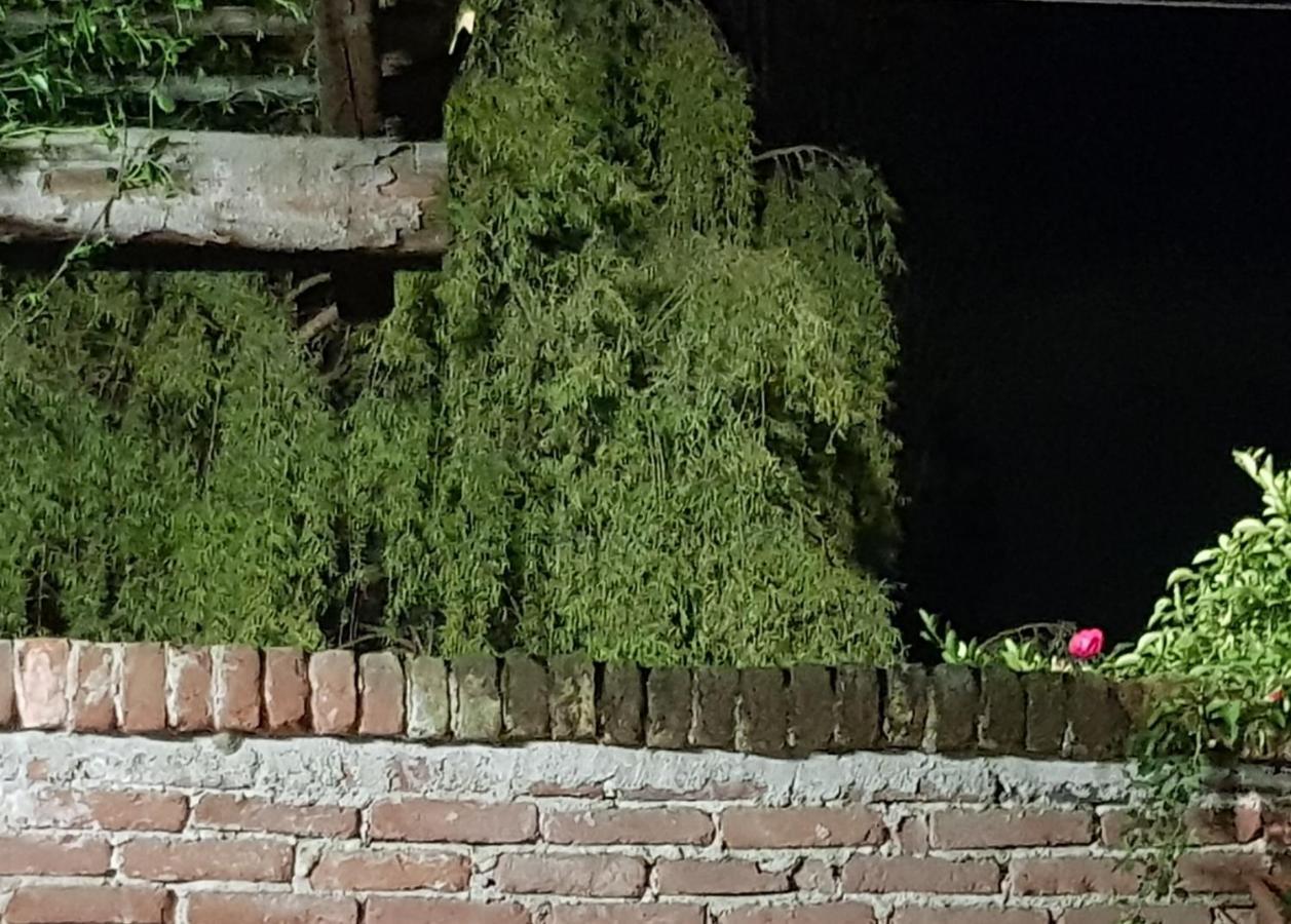 Az.Agr.Cascina Moretta Momo ภายนอก รูปภาพ