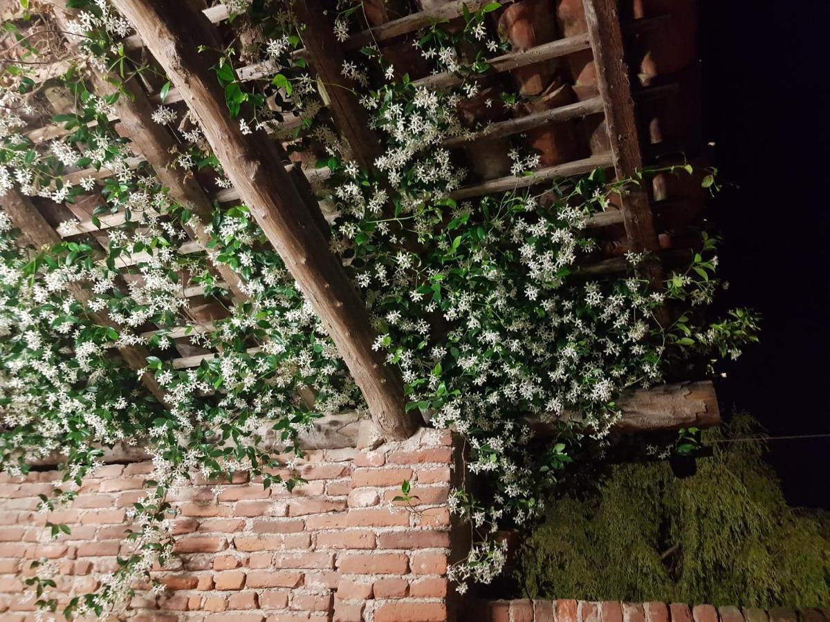 Az.Agr.Cascina Moretta Momo ภายนอก รูปภาพ
