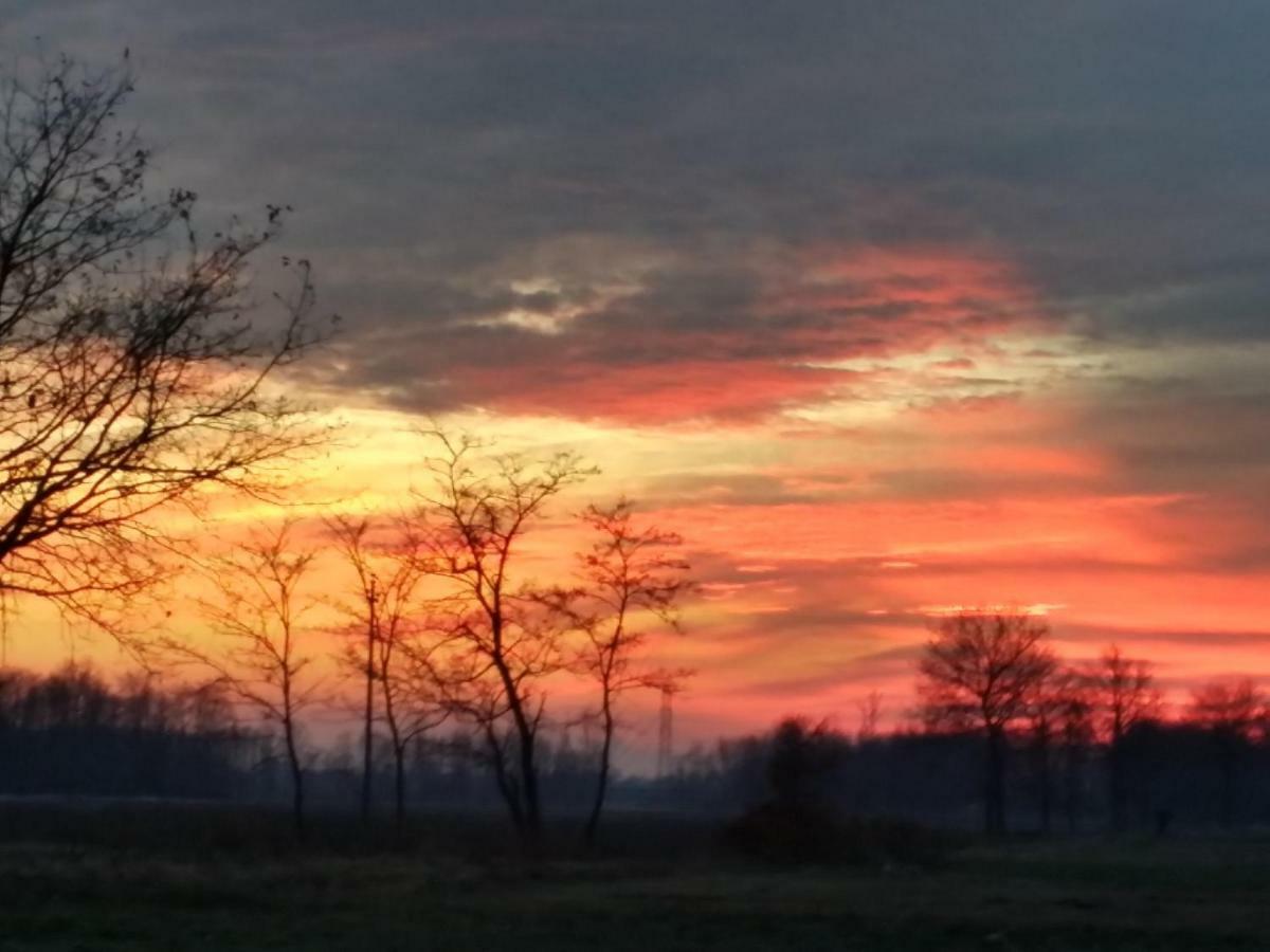 Az.Agr.Cascina Moretta Momo ภายนอก รูปภาพ