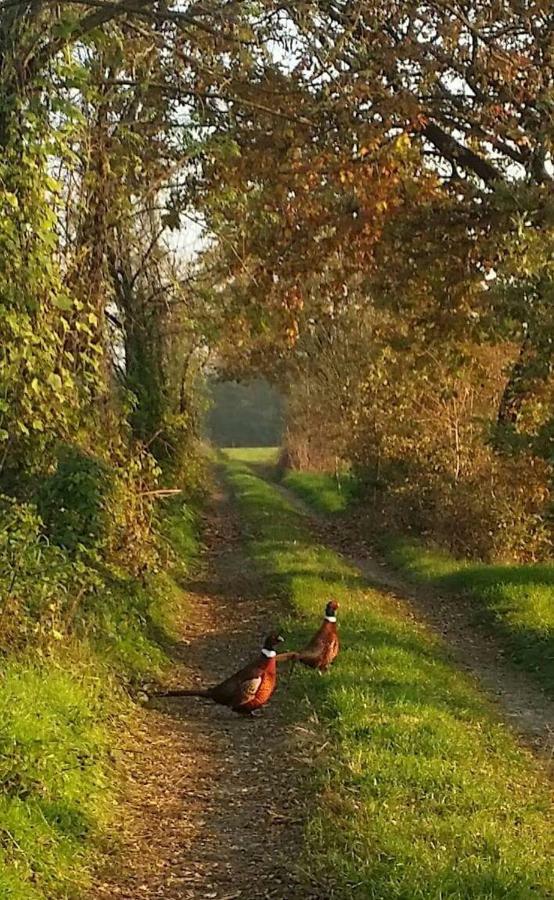 Az.Agr.Cascina Moretta Momo ภายนอก รูปภาพ