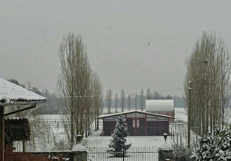 Az.Agr.Cascina Moretta Momo ภายนอก รูปภาพ