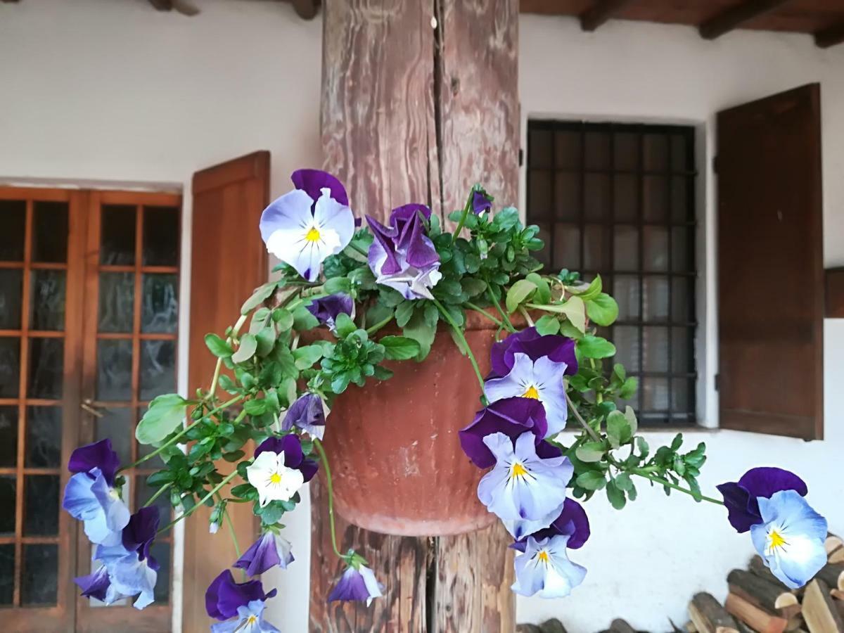 Az.Agr.Cascina Moretta Momo ภายนอก รูปภาพ