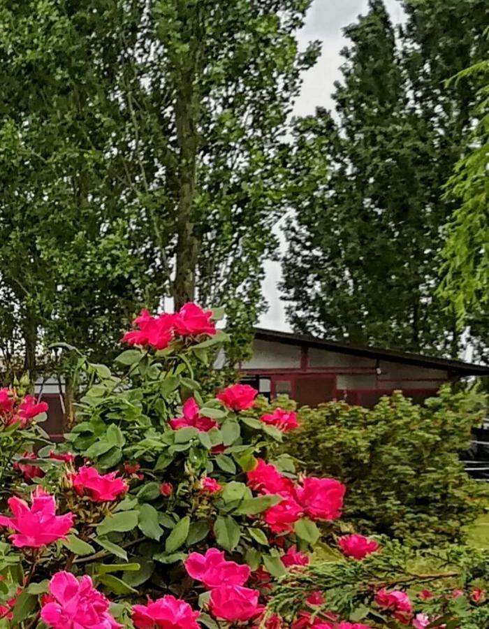 Az.Agr.Cascina Moretta Momo ภายนอก รูปภาพ