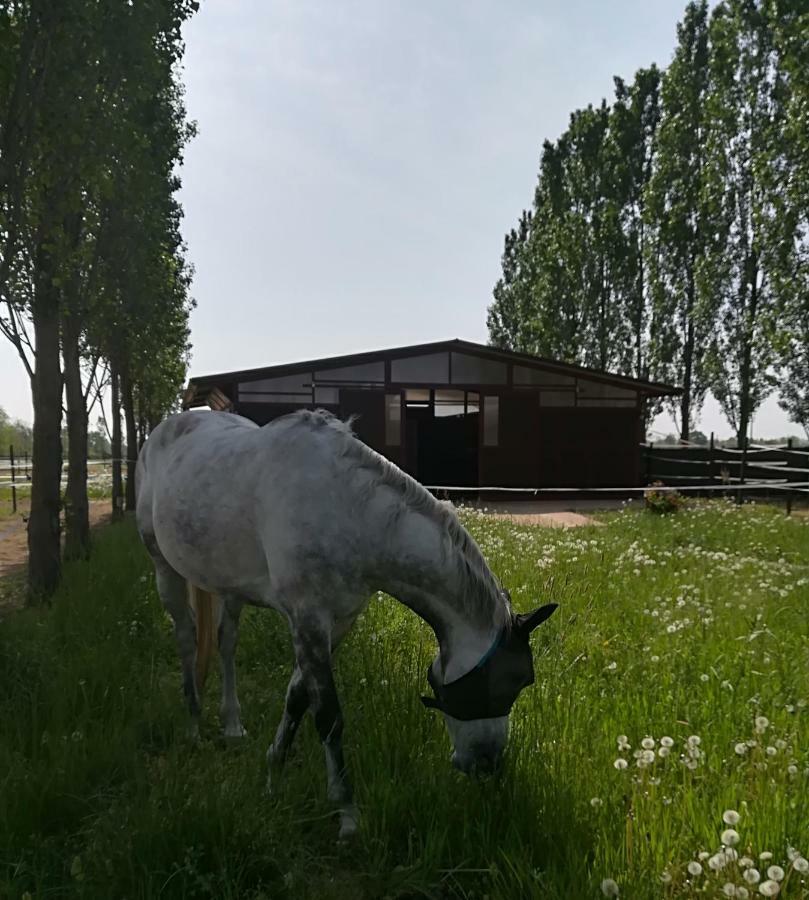 Az.Agr.Cascina Moretta Momo ภายนอก รูปภาพ