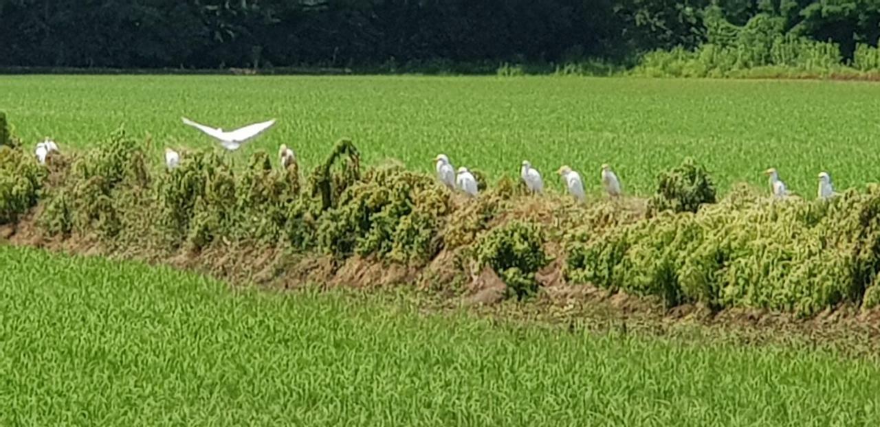 Az.Agr.Cascina Moretta Momo ภายนอก รูปภาพ