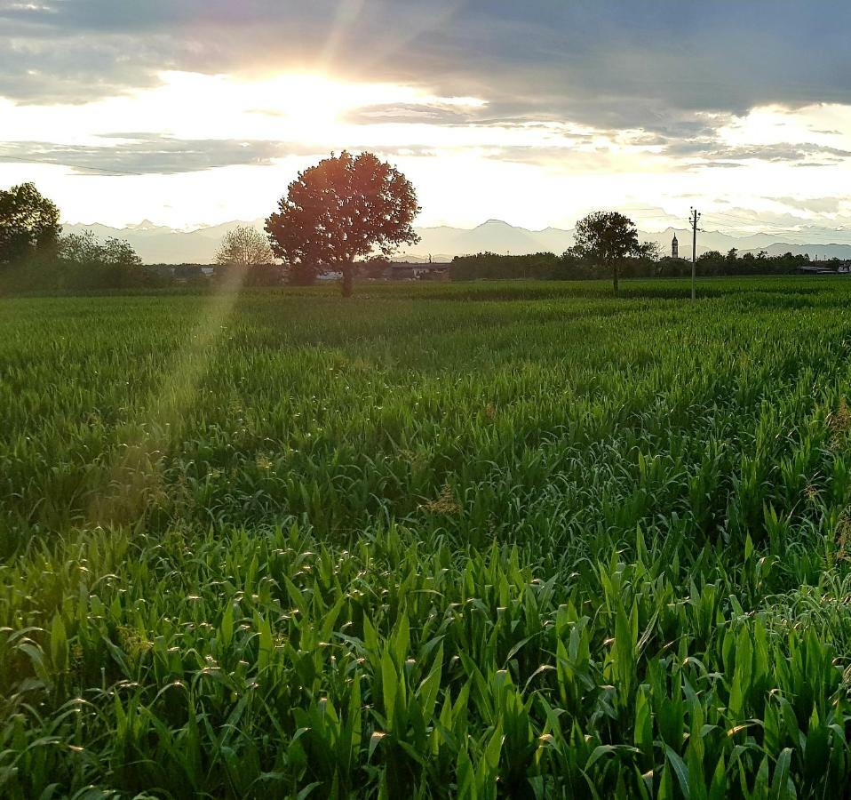 Az.Agr.Cascina Moretta Momo ภายนอก รูปภาพ