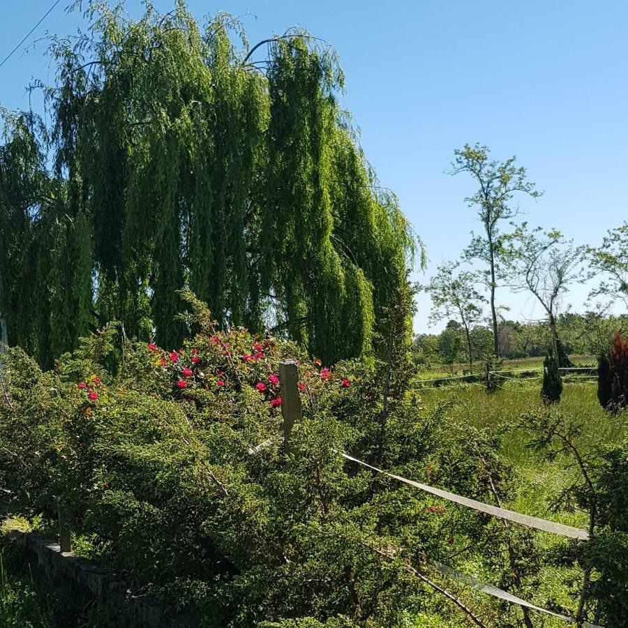 Az.Agr.Cascina Moretta Momo ภายนอก รูปภาพ