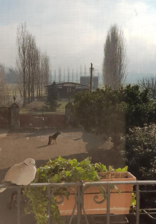 Az.Agr.Cascina Moretta Momo ภายนอก รูปภาพ
