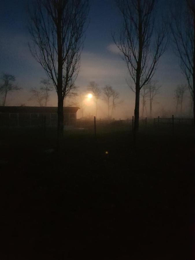 Az.Agr.Cascina Moretta Momo ภายนอก รูปภาพ