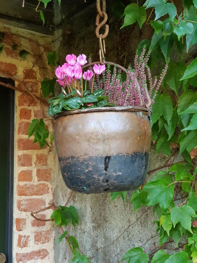 Az.Agr.Cascina Moretta Momo ภายนอก รูปภาพ